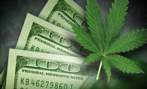 Top Cannabis Ideas as Pot Stocks Become Deep Value Investment Theme (TLRY, NNRX, ACB, GRWG, SNDL, CGC, CRON, MSOS)
