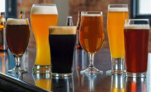 The Case for Craft Beer Stocks in 2023 (BUD, KEGS, SAM, TAP, STZ, DEO, ABEV, HEINY)