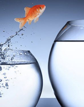 The Next Wave of the Antiviral Investment Boom Awaits (CLX, PLPL, MRK, HSIC, ECL, KMB, DSEY, ALB, CHD)