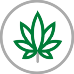 cannabis-300×300