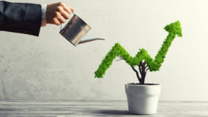 A person waters a plant in the shape of a graph representing a growing stock price.