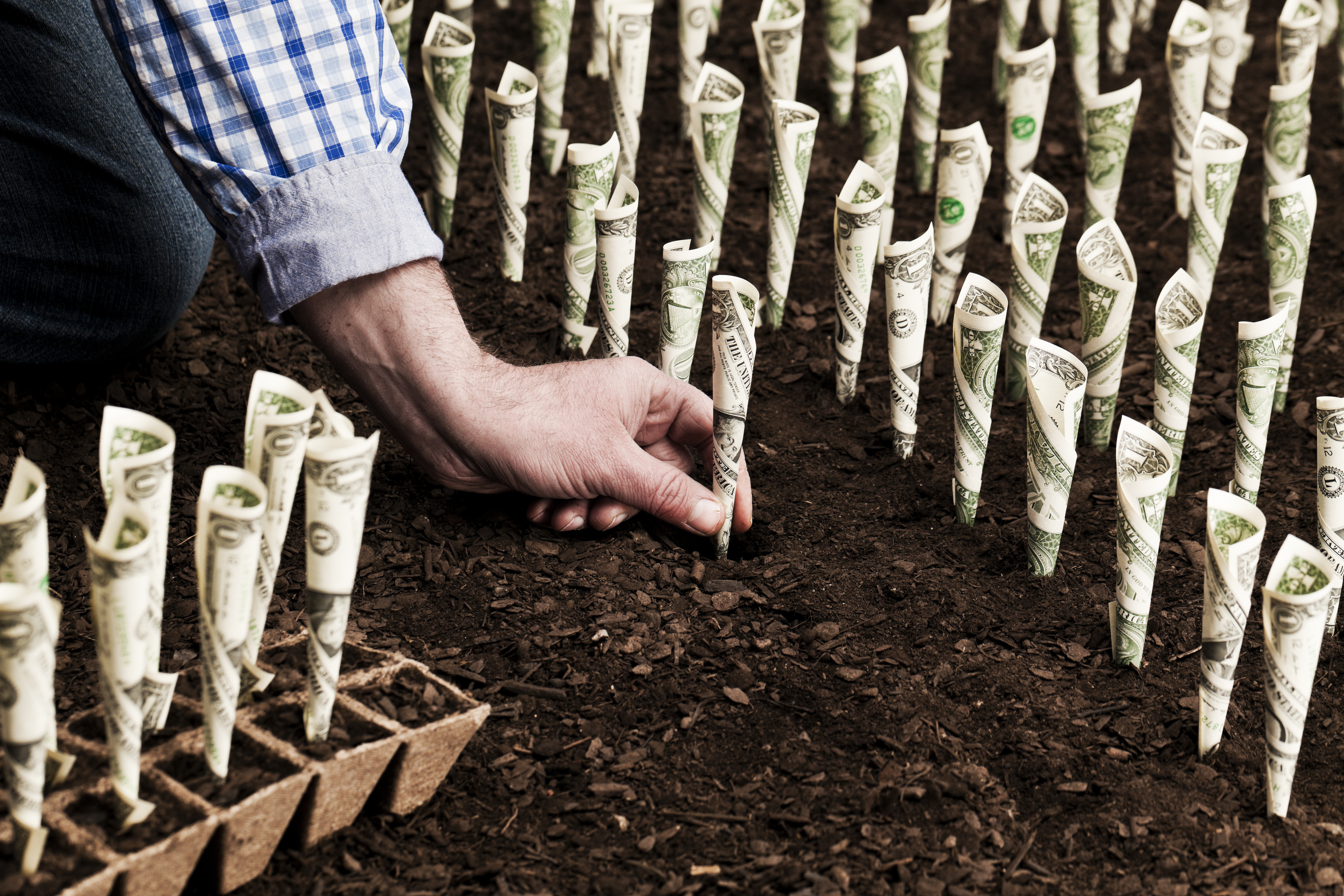 A hand planting money in the ground to show long-term investing growth.