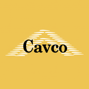 Stock CVCO logo