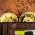 dogecoin-doge-wallet-1600-300×169