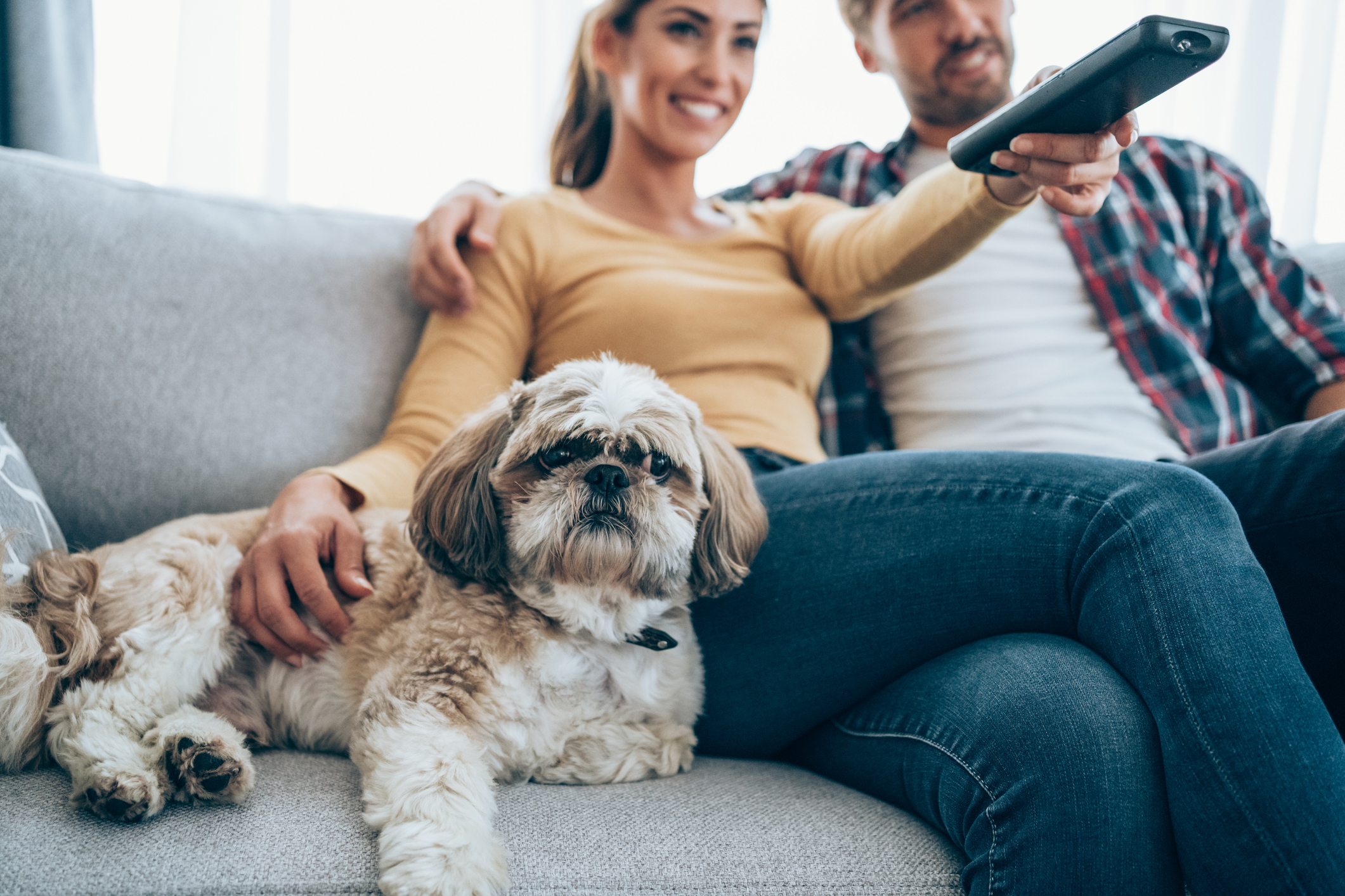 A couple and their dog enjoying TV from the sofa. 