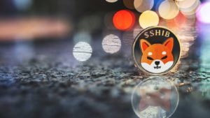 A concept token for the Shiba Inu or SHIB crypto with lights sparkling in the background.