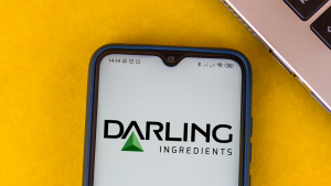 Darling Ingredients (DAR) logo seen displayed on a smartphone