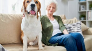 A photo of an old woman and a dog sitting on a couch. pet stocks