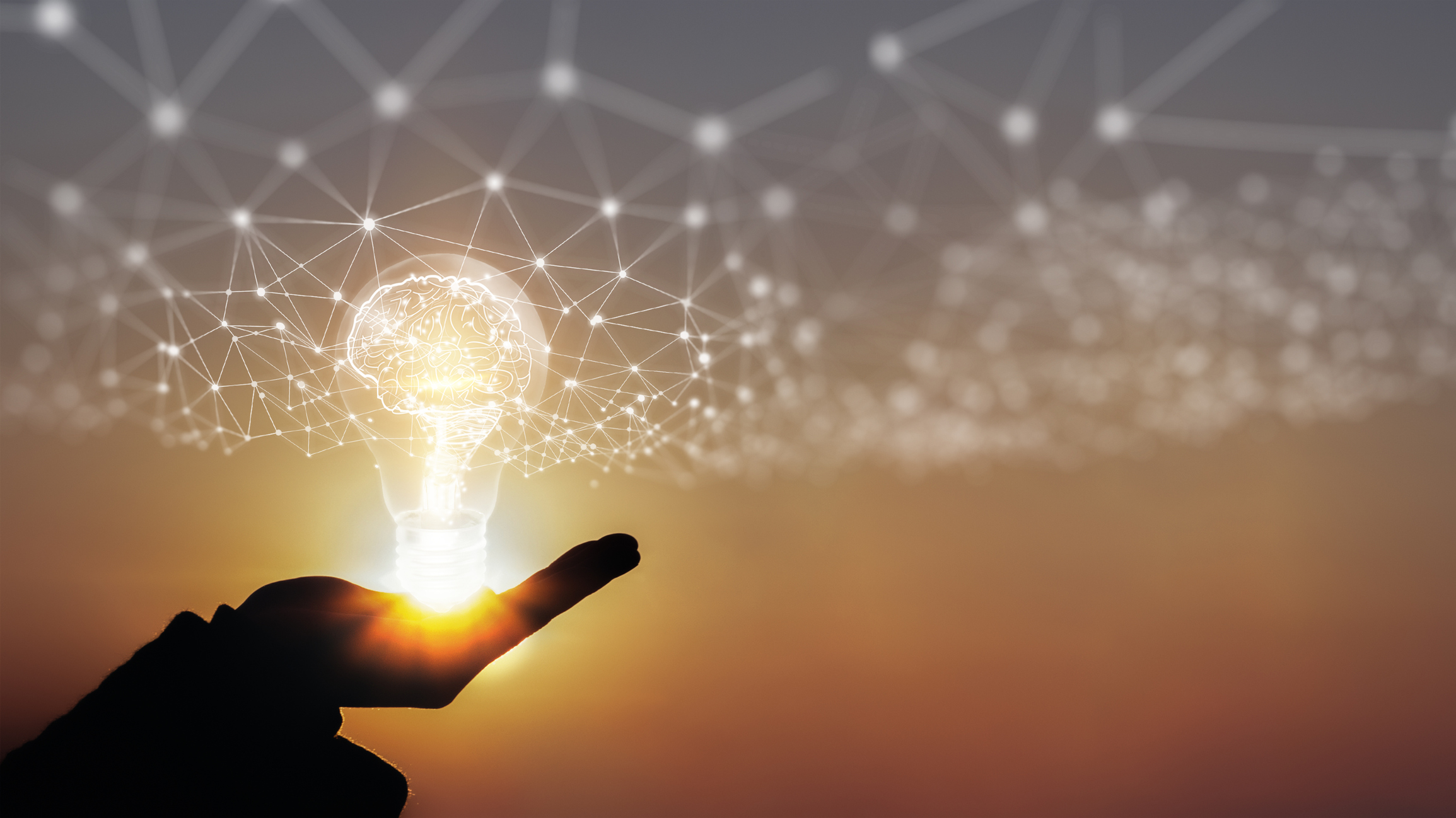 A hand holding a glowing light bulb under a net of connected nodes.