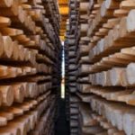 timber-wood-1600-300×169