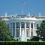 image-132-300×169