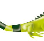ecopetrol_s_a__logo-1