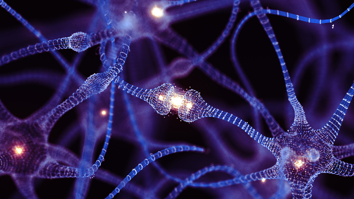 A synapse in a brain.
